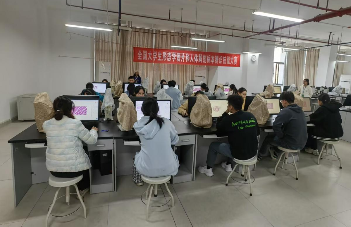 beat365手机版官网入口